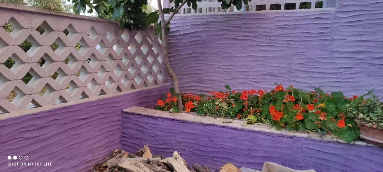 Casa Purple Lägenhet Cala Gonone Italien