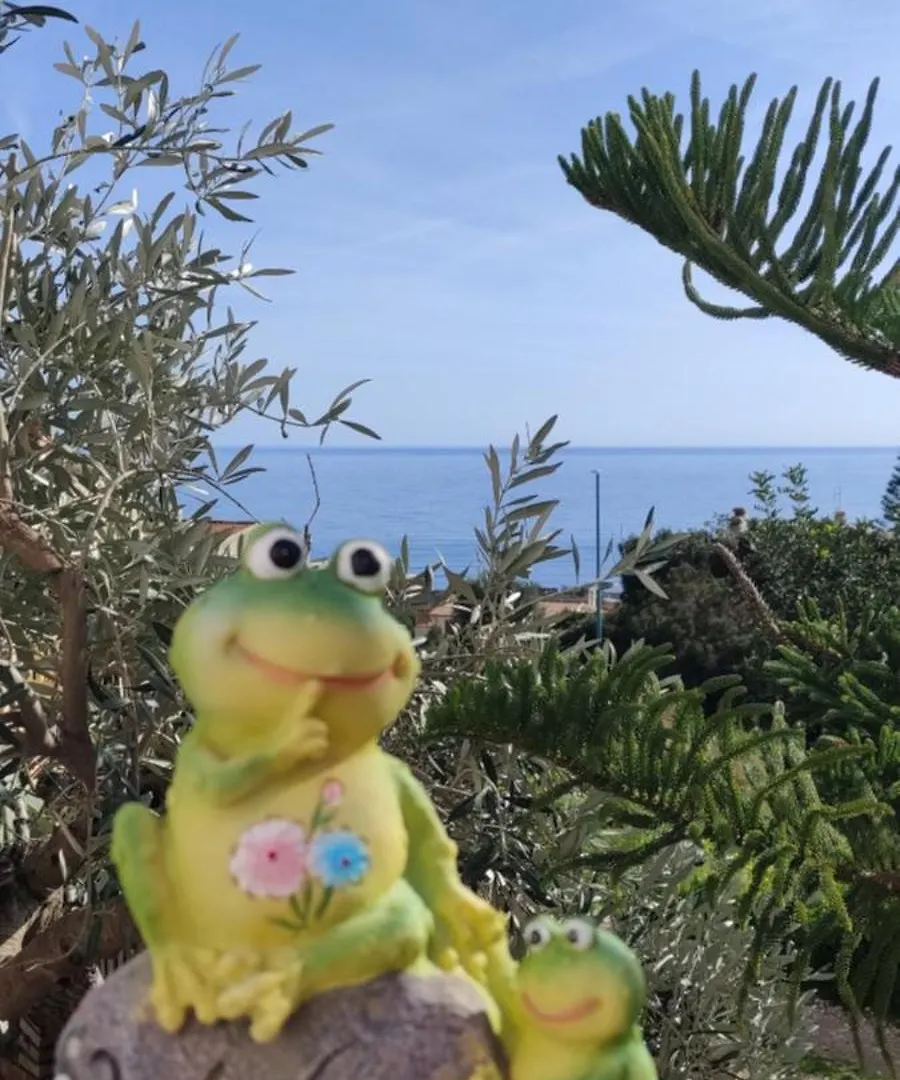 Appartamento Casa Purple Cala Gonone Italia