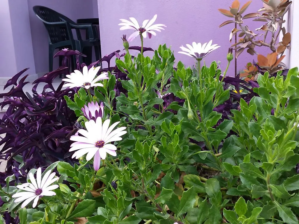 Appartamento Casa Purple Cala Gonone 0*,